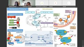 Fibrinolisis [upl. by Arad]