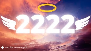 ANGEL NUMBER 2222  Meaning [upl. by Atekahs106]