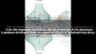 Glutamate hypothesis of schizophrenia Top  7 Facts [upl. by Atsylac]