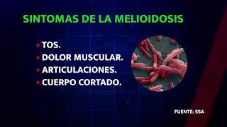 LaPaz Melioidosis Sin casos de melioidosis en Baja California Sur [upl. by Yarased]