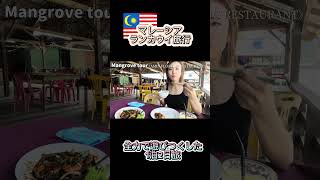 Malaysia🇲🇾ランカウイ1泊２日大満足旅行 [upl. by Akyre]