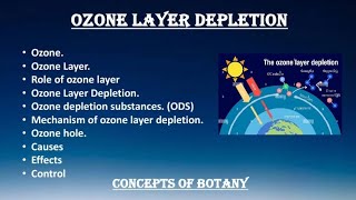 Ozone Layer Ozone Layer Depletion Causes Effects Solution Hindi Urdu Concepts of Botany [upl. by Paterson683]