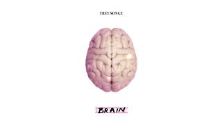 Trey Songz  Brain Official Audio [upl. by Maiga]