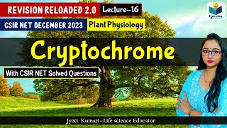 Revision Reloaded 20  Cryptochrome CSIR Dec 2023 Lecture 16  Plant Physiology [upl. by Jocko]