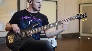 The Hirsch Effekt  quotBezoarquot Playthrough Bass [upl. by Modesty156]