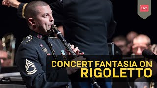 Concert Fantasia on Rigoletto  Clarinet Concerto [upl. by Kaylee]