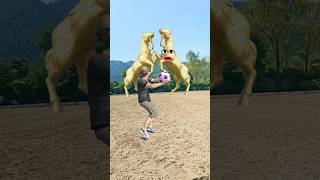 Golden Horse VS Man 🐎🐎 Funny Video shorts funny youtubeshorts [upl. by Hujsak]