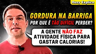 POR QUE A GORDURA NA BARRIGA É TÃO DIFÍCIL DE PERDER  Muzy Explica [upl. by Gael]