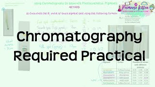 Chromatography Required Practical  Revision for Biology Alevel [upl. by Dumm]