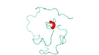 Intrinsically disordered protein the gamma subunit of cGMP phosphodiesterase [upl. by Naziaf297]