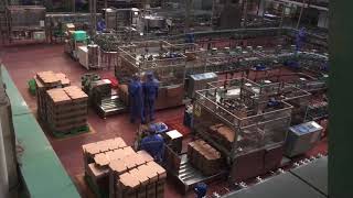 Tsingtao Beer Factory Tour [upl. by Kipper]