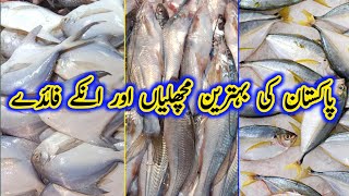 Top Pakistani Fish 2023  King Mackerel  Pomfret  Best Fish to Eat [upl. by Alik460]