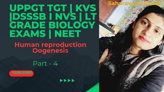 Oogenesis  Gametogenesis Human reproduction  Uppgttgtbiology  KVSpgt DSSSB NEET NVS Biology [upl. by Milburn620]