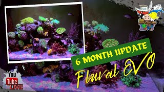 6 Month Update Good and Bad on the Fluval Evo 135 [upl. by Swen]