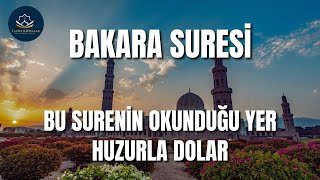 BAKARA SURESİ  OKUNDUĞU YER HUZUR DOLAR  Kuran Dinle [upl. by Brandice]