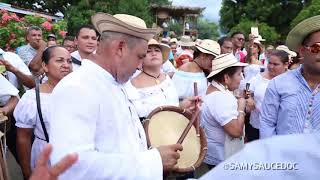 Alfredo Escudero y Los Montañeros Festival de la Mejorana En Vivo [upl. by Llemej]