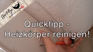 Quicktipp  Geheimtipp um Heizkörper einfach sauber zu machen [upl. by Ytirahc261]