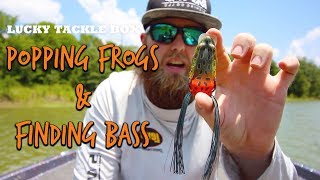 Popping Frogs and Finding Bass [upl. by Macfadyn]