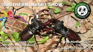 Invert Shows UK  Southern Invertebrate Show [upl. by Cychosz833]