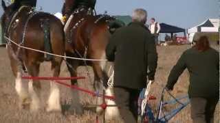 Horses Ploughing at the Memorial Ploughing Match 2012 [upl. by Tnecillim]