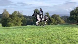 Bicton Arena International Horse Trials 2022  Cross Country Day BE903DE [upl. by Lomasi]