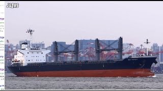 NEW HISTORY Bulk Carrier バラ積み船 東京港出港 2013APR [upl. by Dominique919]