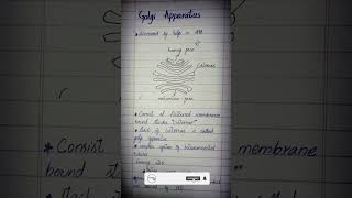 Golgi Apparatus Explained Class 11 Biology  Structure Function amp More  Urduhindi [upl. by Eelsel407]