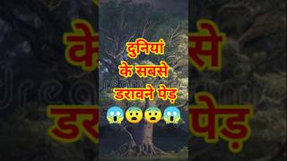 Duniya Ke Sabse Darawane Trees 😱😱😨😨scary tree weiredfacts facts shorts rochakramfirst [upl. by Zaraf]