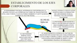 EMBRIOLOGÍA TERCERA SEMANA DE DESARROLLO DISCO GERMINAL TRILAMINAR [upl. by Bradney20]