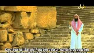 E24 Sulayman  Salomon 1 des Histoires des Prophètes par Nabil ElAwady [upl. by Lac]