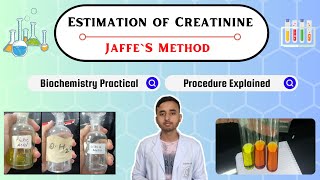 Estimation of Serum Creatinine By Jaffes Method Experiment on Colorimeter Biochemistry Practical [upl. by Tniassuot]