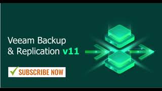 01 Veeam Backup ESXi Virtual Machine Data protection [upl. by Sheri]