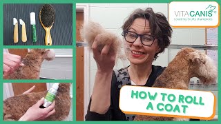 HOW TO ROLL A COAT  HANDSTRIPPING ROLLING AND CARDING EXPLAINED [upl. by Eniak793]