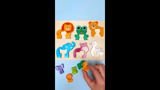 Baby Animals Names amp Facts For Toddlers kidslearning [upl. by Gwendolen634]