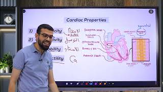 CVS 2 Excitability  Part 1 Fast response AP [upl. by Anelleh]