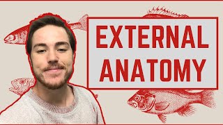 Ichthyology Lesson 3  External Anatomy [upl. by Kristi591]