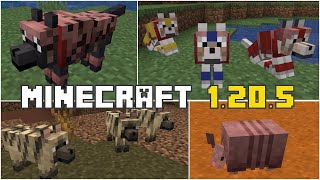 Gürteltiere neue Wölfe Performance Updates und einiges mehr Minecraft 1205 Update [upl. by Sunev]