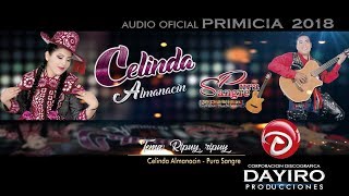 CELINDA ALMANACIN 2018Ripuy RipuyDAYIRO PRODUCCIONES [upl. by Janice]