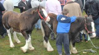 BALLINASLOE HORSE FAIR 2011 [upl. by Pavel]