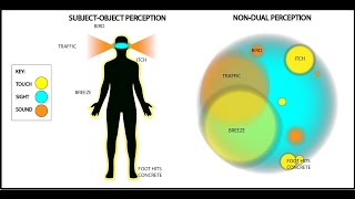 Dualism vs NonDualism Explained  with visuals [upl. by Eseekram]