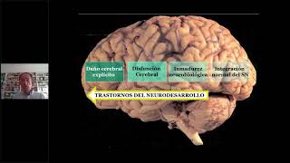 Evaluación neuropsicológica infantil CUMANIN2 [upl. by Ahsinhoj]