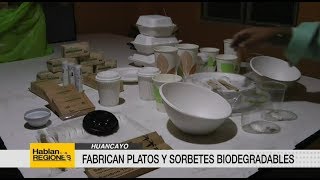 Fabrican platos biodegradables en Huancayo  UNSA supervisa prohibición de uso de plástico [upl. by Laamaj687]