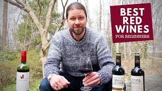 The Best Red Wines For Beginners Series 6 Malbec [upl. by Fenton]