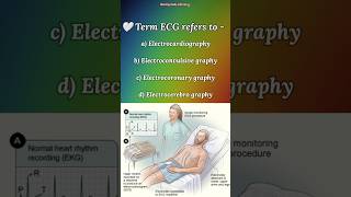 🔴Anatomy and physiologyimportant mcqsanatomymcqsimportant nursinghumancardiovascularosssc [upl. by Arielle]