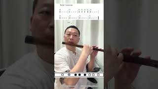 Dizi Flute Practice Series For BeginnerAlto Do Note Exercise wwwdiziflutecom diziflute dizi [upl. by Adnilemreh]