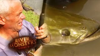 Catching A Prehistoric Predator  ARAPAIMA  River Monsters [upl. by Coretta]