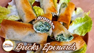 Bricks Epinards Fromage  Recette Facile et Rapide [upl. by Roanna]