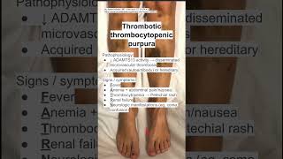 Thrombotic thrombocytopenic purpura TTP [upl. by Dulcea]