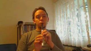 Frére Jaques  Star Trek variation Tin Whistle [upl. by Attelrahs]