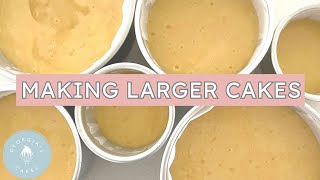 How To Multiply Your Cake Recipe for Larger Tins  Georgia’s Cakes [upl. by Teirtza615]